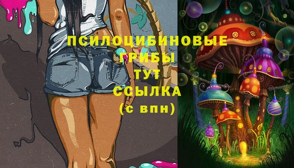 ALPHA-PVP Алексеевка